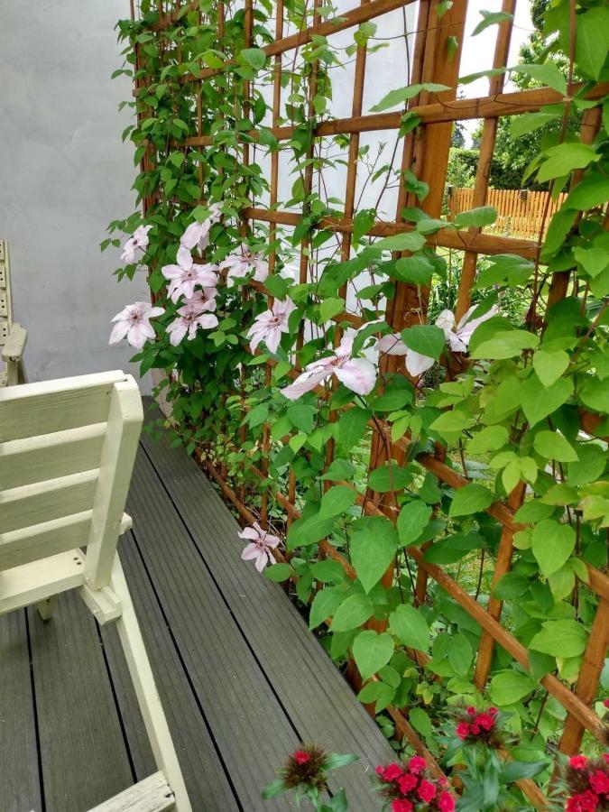Apartament Przy Kamiennej Chacie Zalewo  المظهر الخارجي الصورة